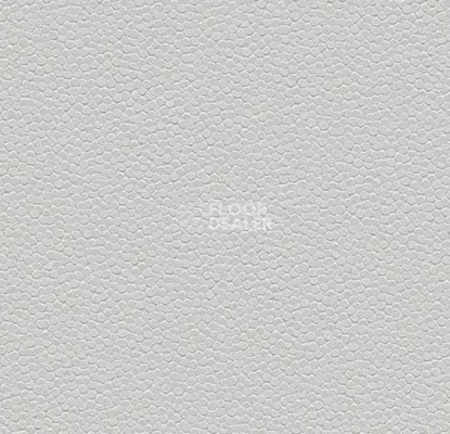 Линолеум Forbo SafeStep Aqua 180262 trout фото 1 | FLOORDEALER